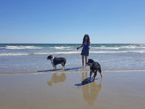 Wells Beach Maine