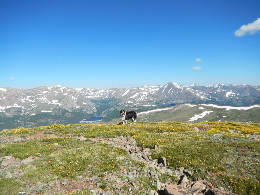 Mount Silverheels 13,822' - Trip Report - Mountain Air