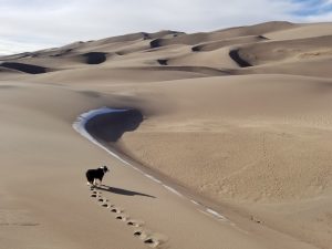 Great-Sand-Dunes-National-Park-Colorado