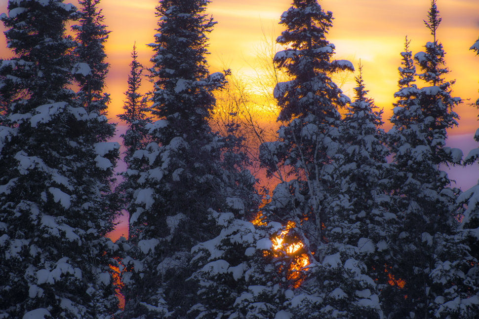 Sunset in the boreal forest by Bart Deferme ©